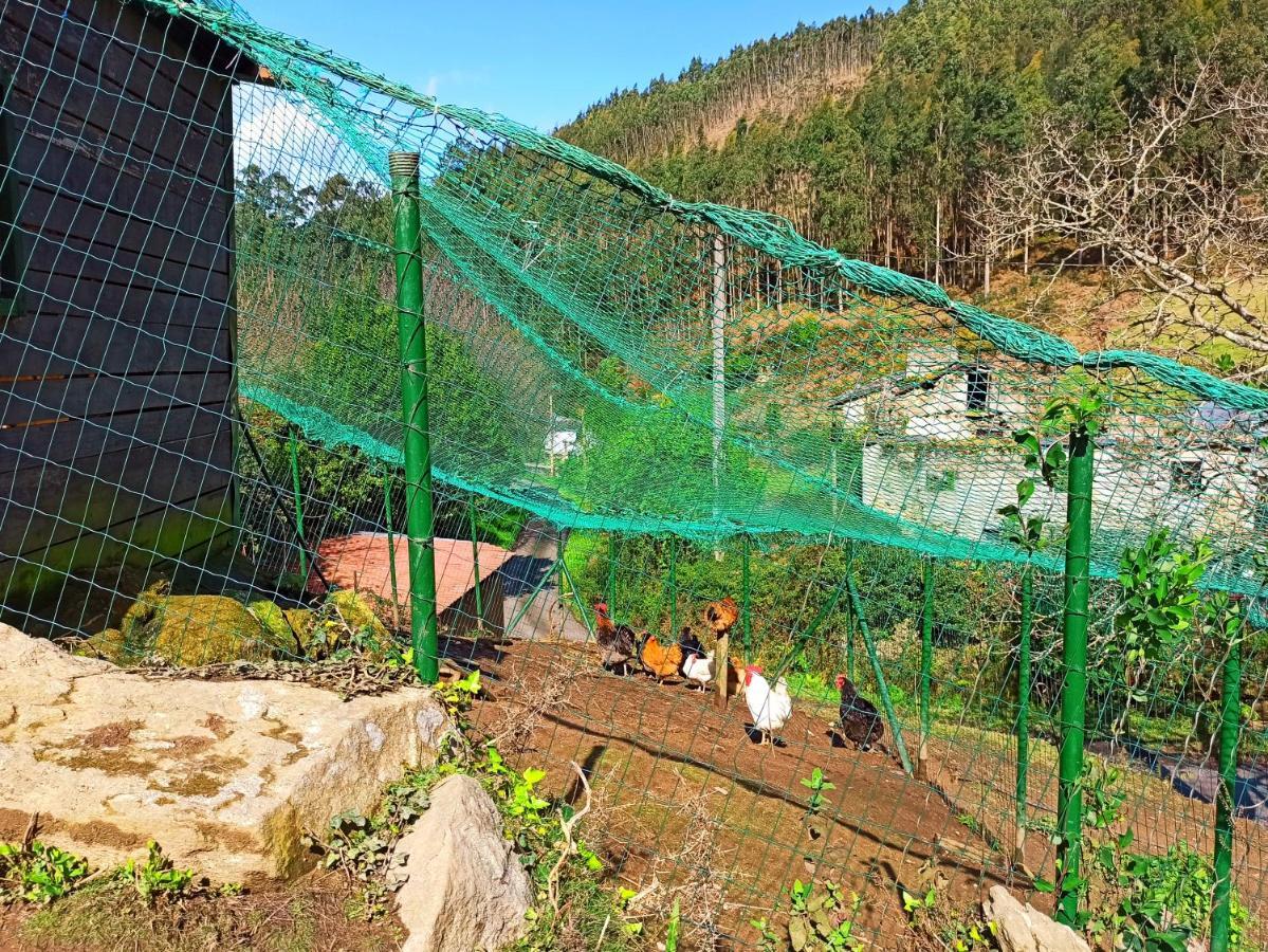 Casa Carmelo Villa Viveiro Bagian luar foto